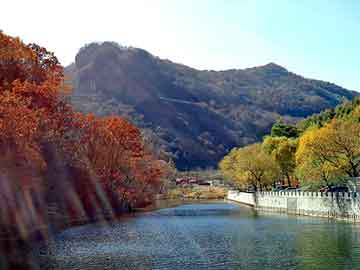 新澳天天开奖资料大全旅游团，手机充值卡代销